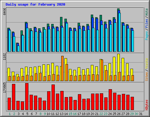 Daily usage for February 2020