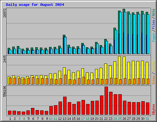 Daily usage for August 2024