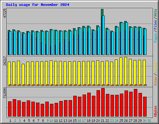 Daily usage for November 2024