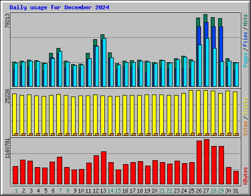 Daily usage for December 2024