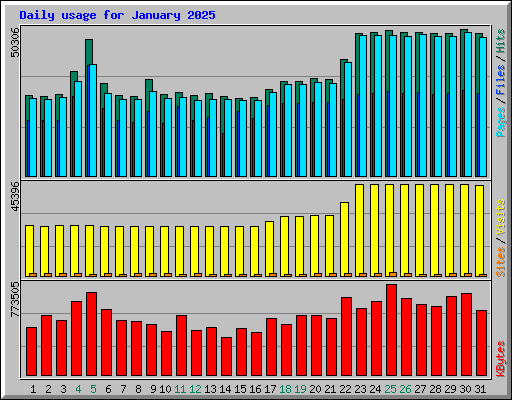 Daily usage for January 2025