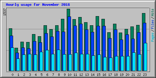 Hourly usage for November 2016