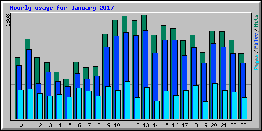 Hourly usage for January 2017