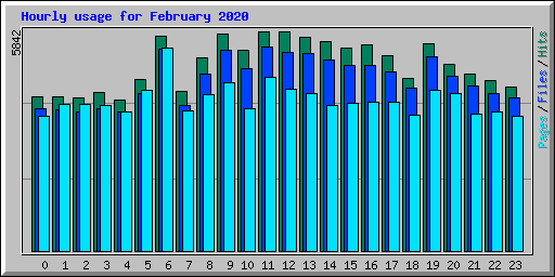 Hourly usage for February 2020