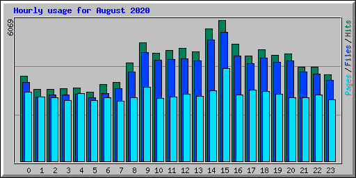 Hourly usage for August 2020