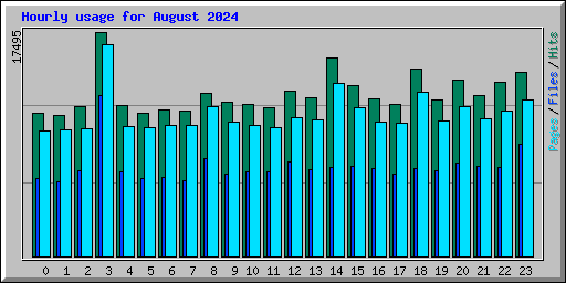 Hourly usage for August 2024