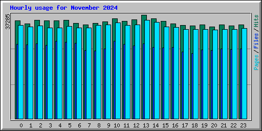 Hourly usage for November 2024