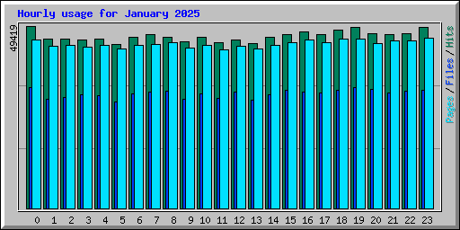 Hourly usage for January 2025