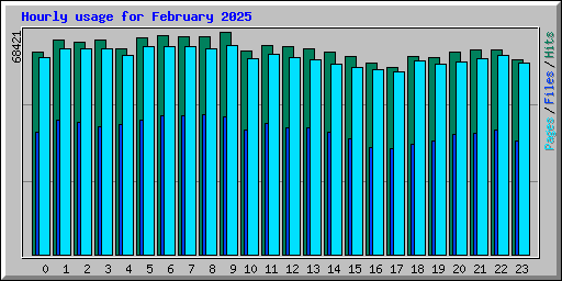 Hourly usage for February 2025
