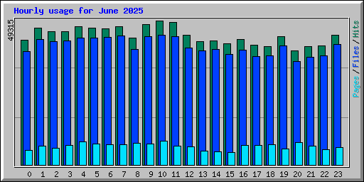 Hourly usage for June 2025