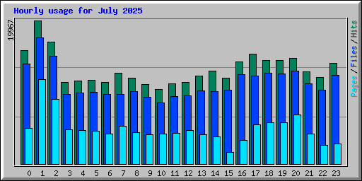 Hourly usage for July 2025
