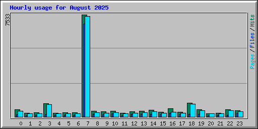Hourly usage for August 2025